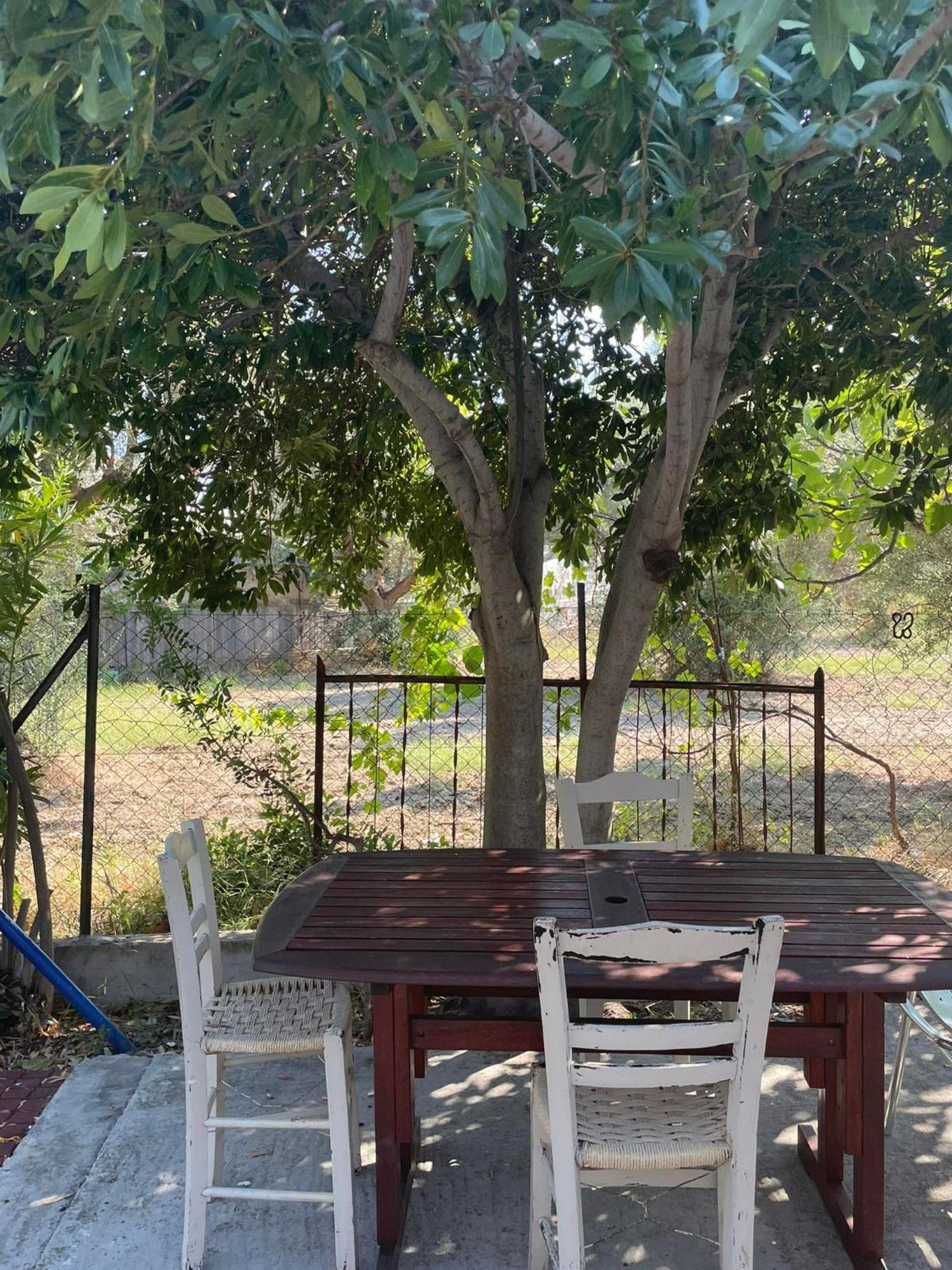 Yfantis Sakis Apartment'S Eratini Extérieur photo