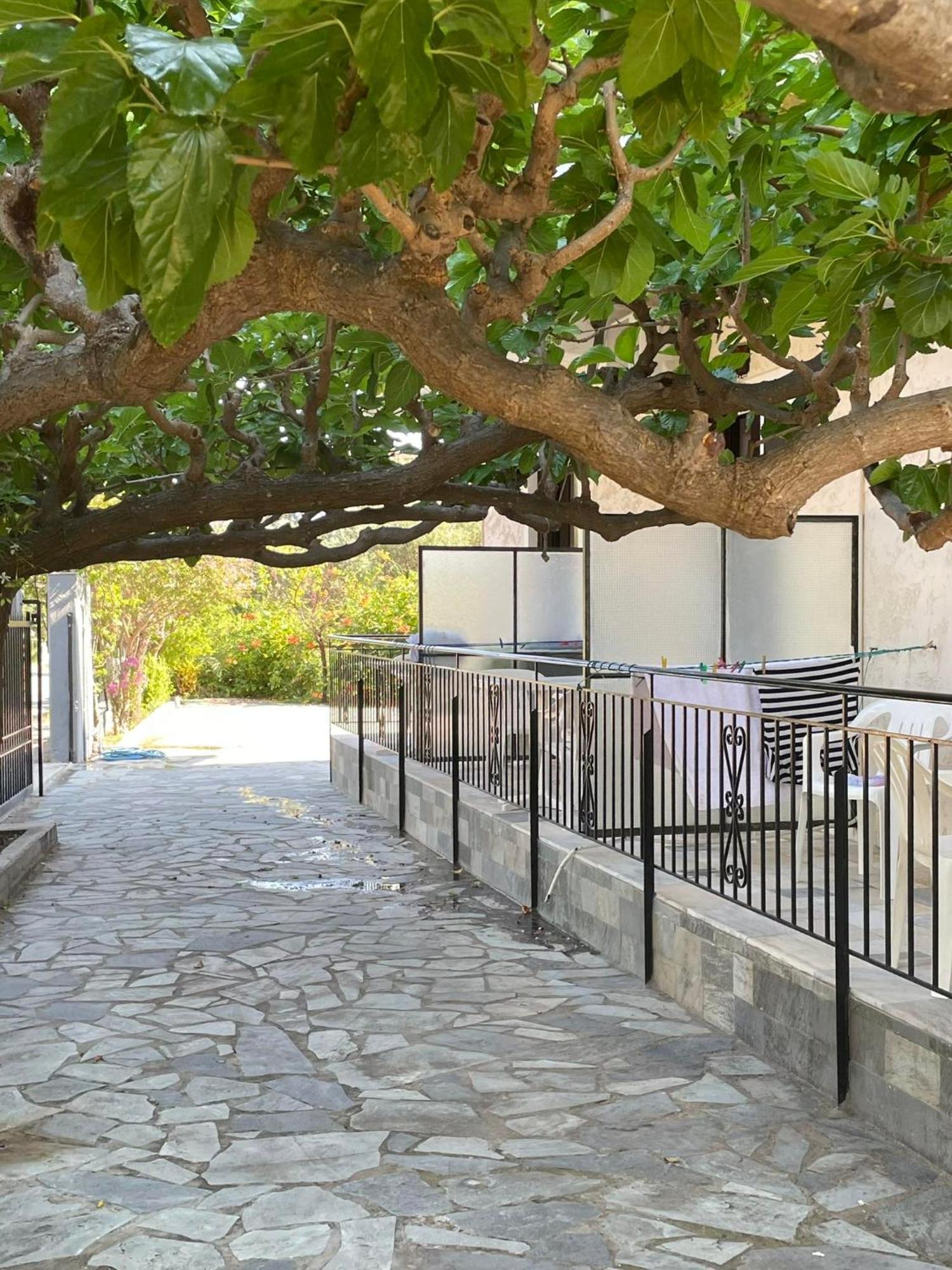 Yfantis Sakis Apartment'S Eratini Extérieur photo