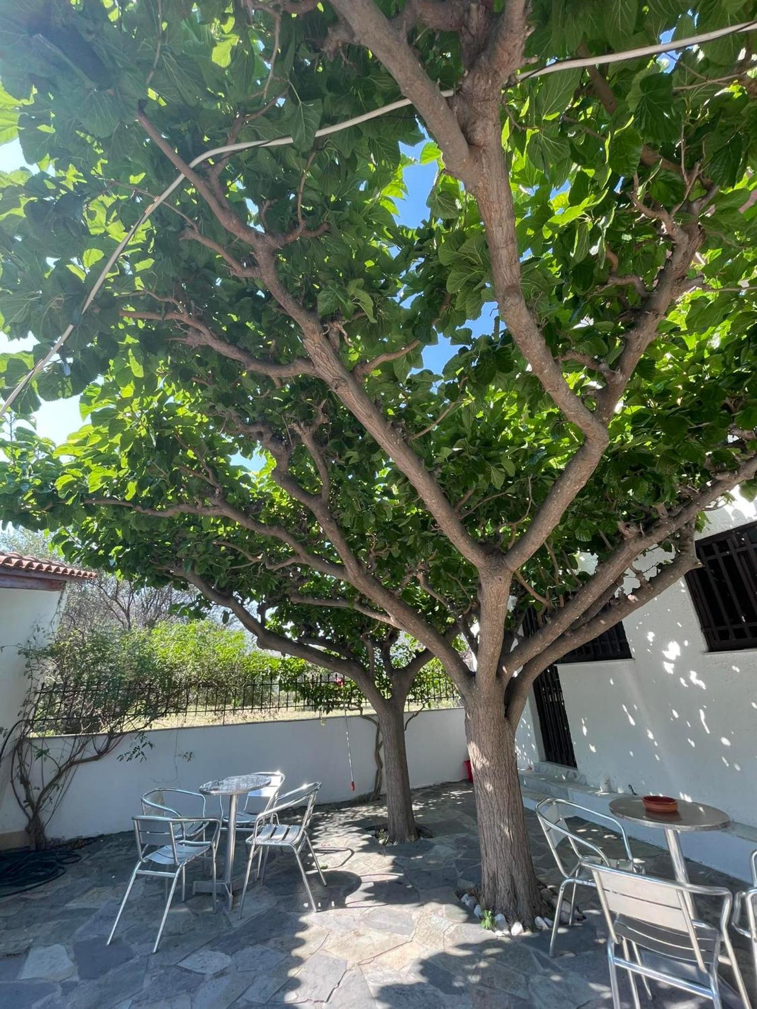 Yfantis Sakis Apartment'S Eratini Extérieur photo